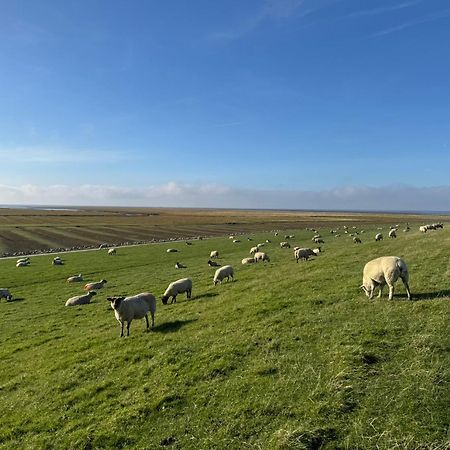 Nordseetraum - Ferienhaus Wolke Friedrichskoog Εξωτερικό φωτογραφία